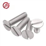 Slotted Flat Head Titanium Vijci